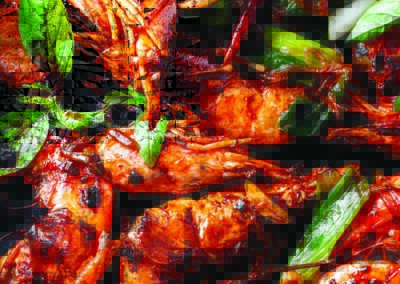 Fed by Blue Cookbook Pop-Up Exhibition