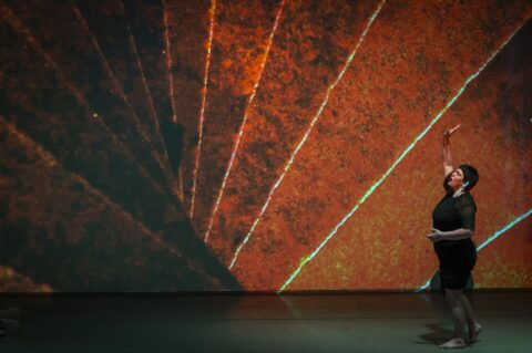 The Glance Anne Hege